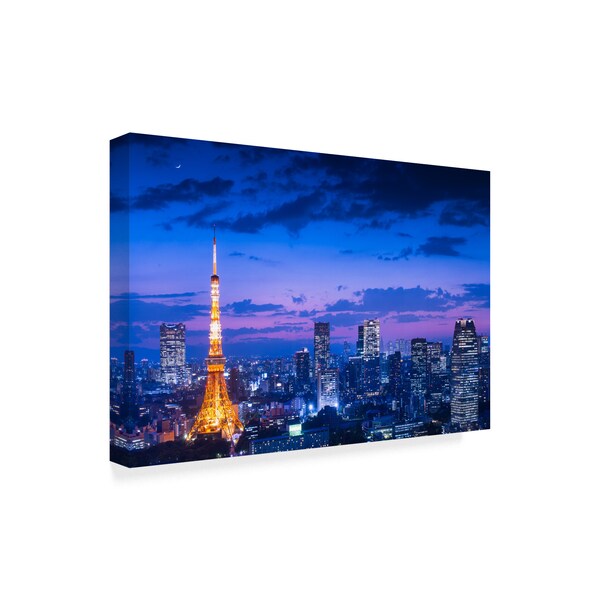 Takao Kataoka 'Tokyo Night View' Canvas Art,12x19